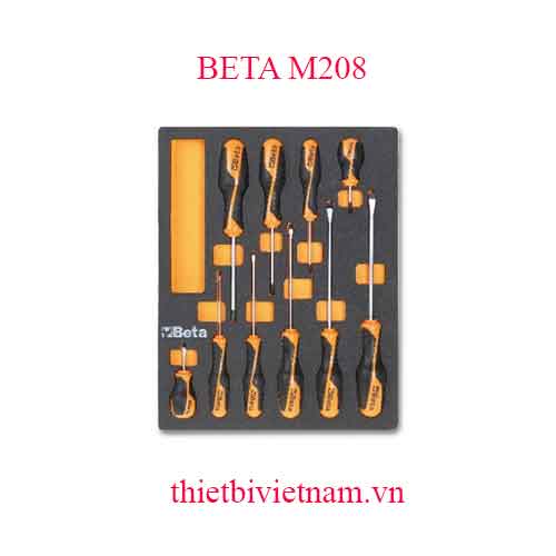 10 TOOLS IN SOFT THERMOFORMED BETA MODEL M208