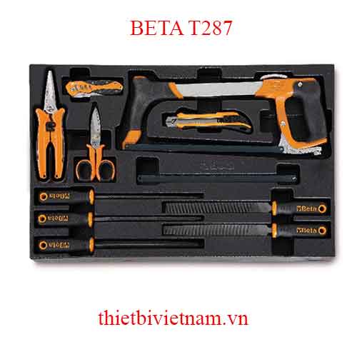 10 TOOLS IN THERMOFORMED BETA MODEL T287