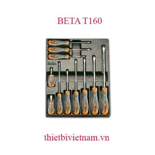 11 TOOLS IN THERMOFORMED BETA MODEL T160