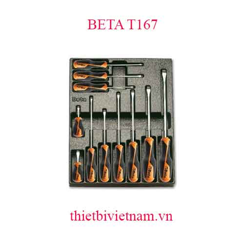 11 TOOLS IN THERMOFORMED BETA MODEL  T167