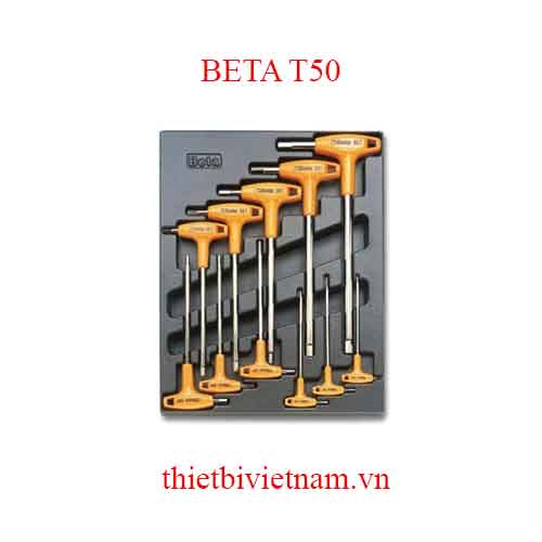 11 TOOLS IN THERMOFORMED BETA MODEL T50