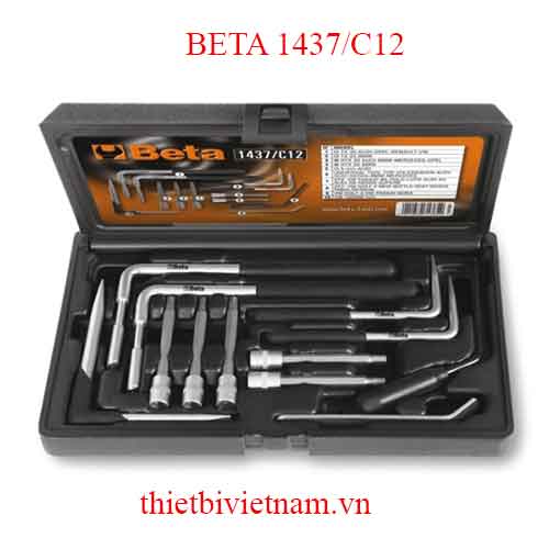 12 TOOLS FOR REMOVING AIR BAG BETA MODEL 1437/C12