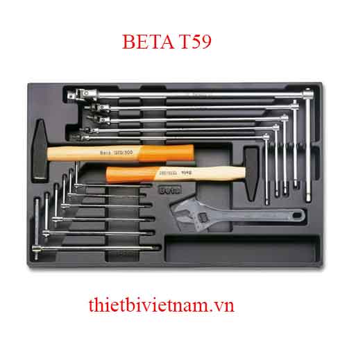 14 TOOLS IN THERMOFORMED BETA MODEL T59