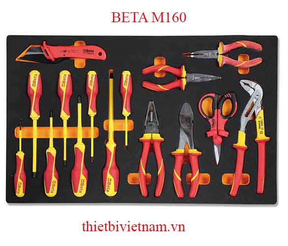 15 TOOLS IN SOFT THERMOFORMED BETA MODEL M160
