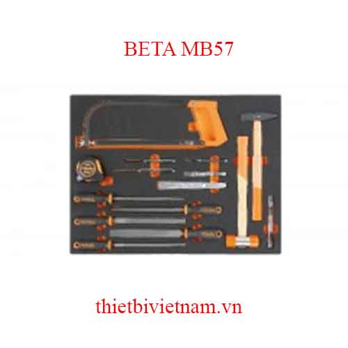 15 TOOLS IN SOFT THERMOFORMED BETA MODEL MB57