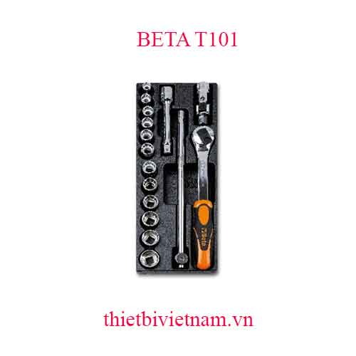 16 TOOLS IN THERMOFORMED BETA MODEL T101