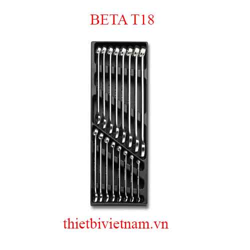 16 TOOLS IN THERMOFORMED BETA MODEL T18