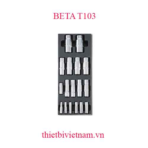 17 TOOLS IN THERMOFORMED BETA MODEL T103