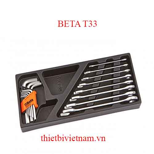 17 TOOLS IN THERMOFORMED BETA MODEL T33