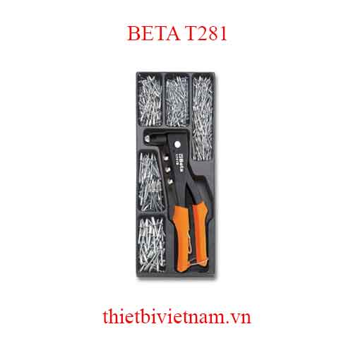 1741B + RIVETS IN THERMOFORMED BETA MODEL T281