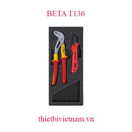 2 TOOLS IN THERMOFORMED BETA MODEL T136