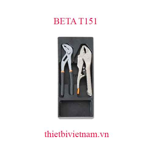 2 TOOLS IN THERMOFORMED BETA MODEL T151