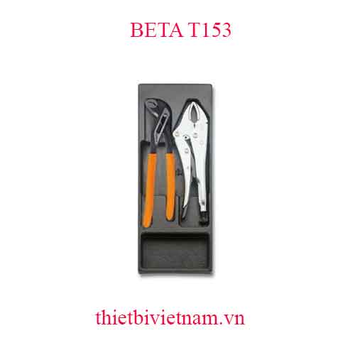 2 TOOLS IN THERMOFORMED BETA MODEL T153