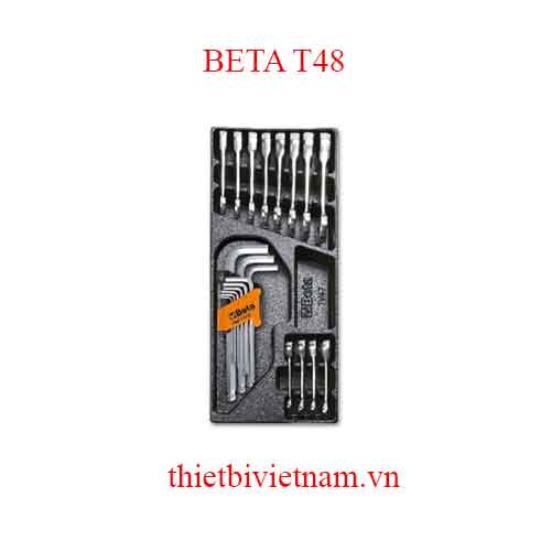 21 TOOLS IN THERMOFORMED BETA MODEL T48