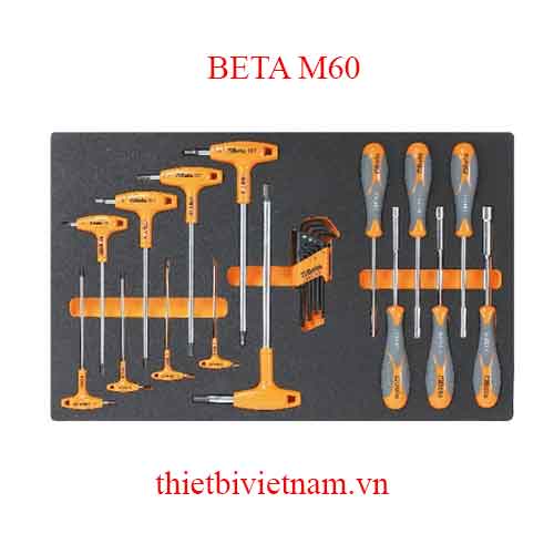 23 TOOLS IN SOFT THERMOFORMED BETA MODEL M60