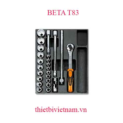 24 TOOLS IN THERMOFORMED BETA MODEL T83