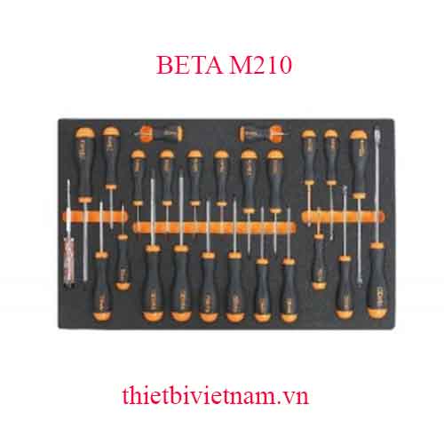 25 TOOLS IN SOFT THERMOFORMED BETA MODEL M210