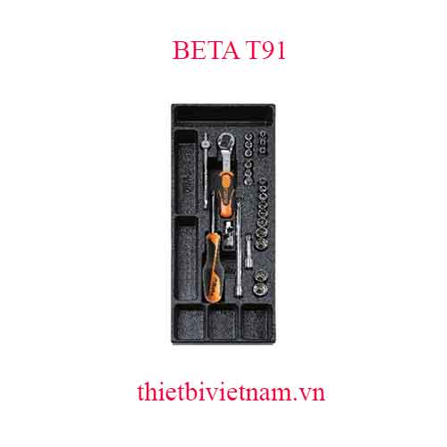 25 TOOLS IN THERMOFORMED BETA MODEL T91