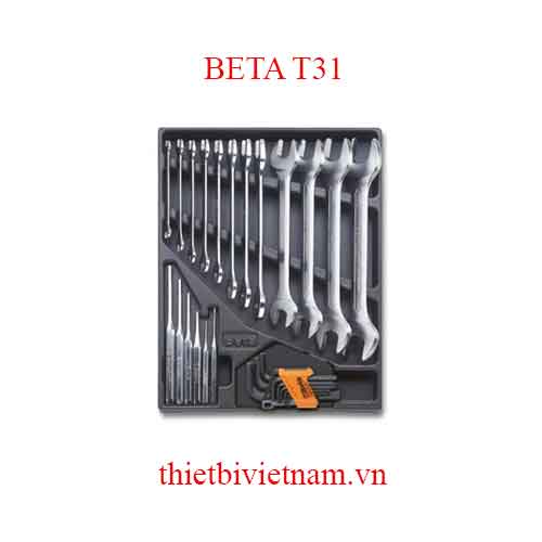 27 TOOLS IN THERMOFORMED BETA MODEL T31