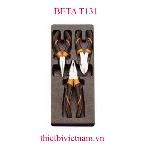 3 TOOLS IN THERMOFORMED BETA MODEL T131