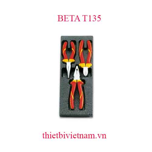 3 TOOLS IN THERMOFORMED BETA MODEL T135