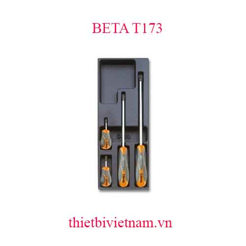 4 TOOLS IN THERMOFORMED BETA MODEL T173