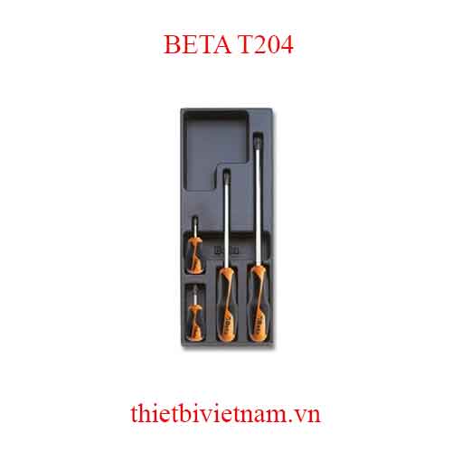 4 TOOLS IN THERMOFORMED BETA MODEL T204