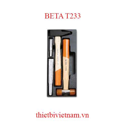 4 TOOLS IN THERMOFORMED BETA MODEL T233