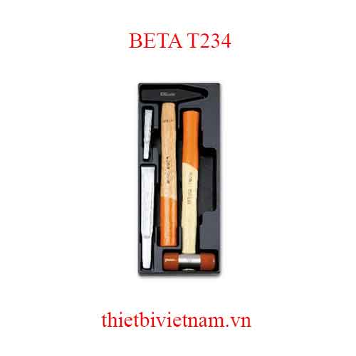 4 TOOLS IN THERMOFORMED BETA MODEL T234