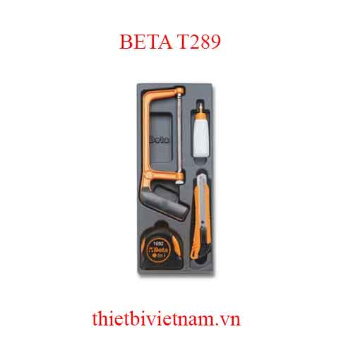4 TOOLS IN THERMOFORMED BETA MODEL T289