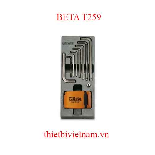 40 TOOLS IN THERMOFORMED BETA MODEL T259