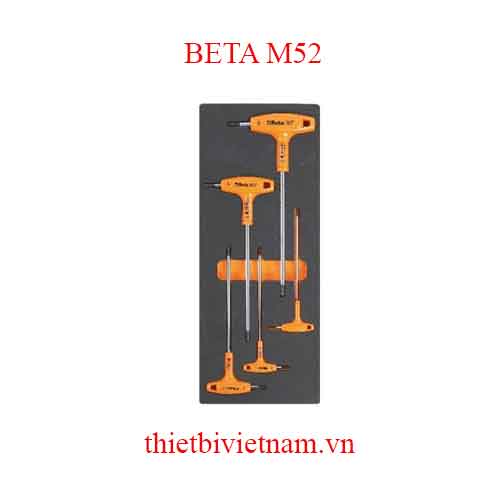 5 TOOLS IN SOFT THERMOFORMED BETA MODEL M52