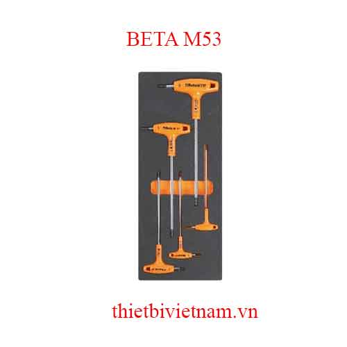 5 TOOLS IN SOFT THERMOFORMED BETA MODEL M53
