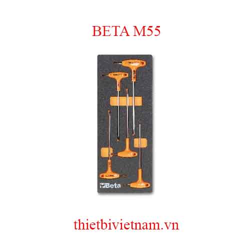5 TOOLS IN SOFT THERMOFORMED BETA MODEL M55