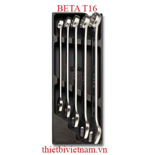 5 TOOLS IN THERMOFORMED BETA MODEL T16