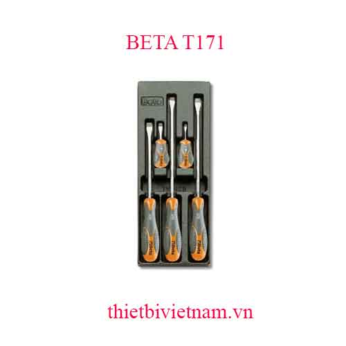 5 TOOLS IN THERMOFORMED BETA MODEL T171