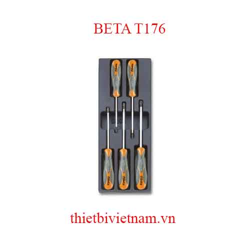 5 TOOLS IN THERMOFORMED BETA MODEL T176