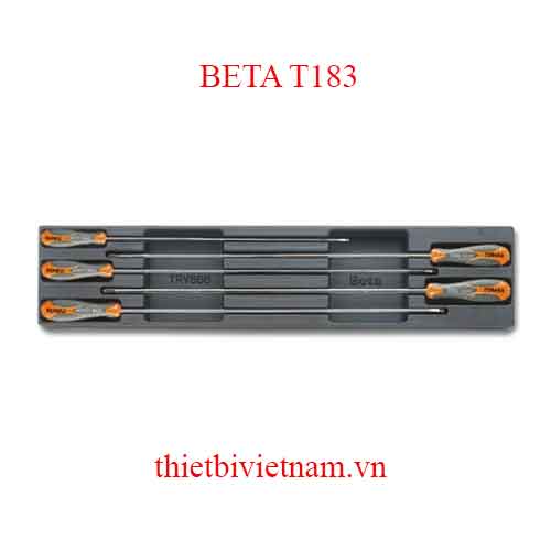 5 TOOLS IN THERMOFORMED BETA MODEL T183