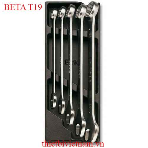 5 TOOLS IN THERMOFORMED BETA MODEL T19
