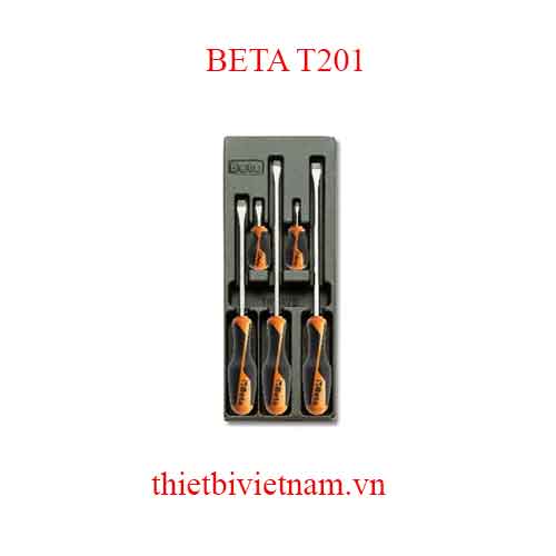 5 TOOLS IN THERMOFORMED BETA MODEL T201