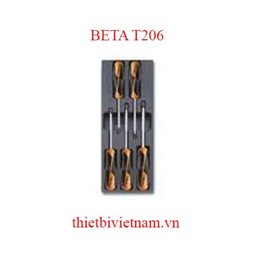 5 TOOLS IN THERMOFORMED BETA MODEL T206