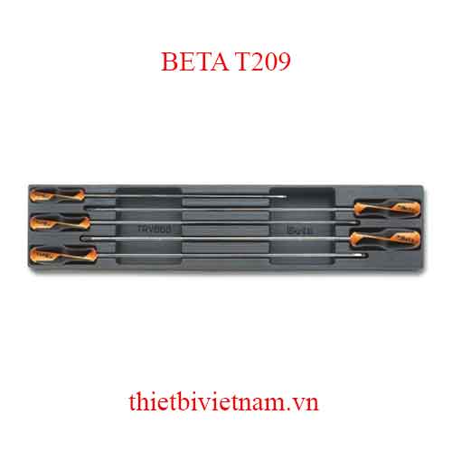 5 TOOLS IN THERMOFORMED BETA MODEL T209