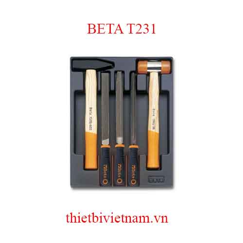 5 TOOLS IN THERMOFORMED BETA MODEL T231