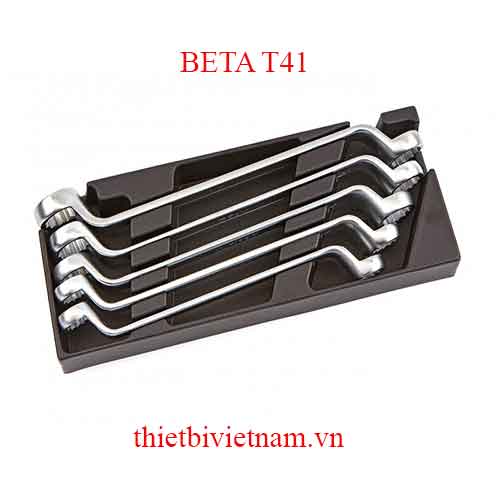 5 TOOLS IN THERMOFORMED BETA MODEL T41
