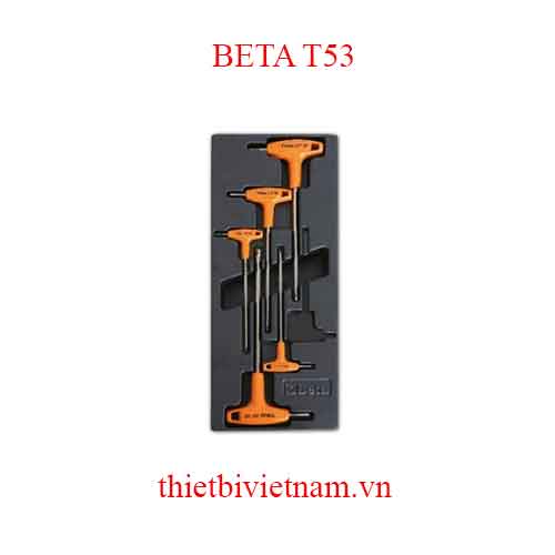 5 TOOLS IN THERMOFORMED BETA MODEL T53