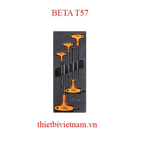 5 TOOLS IN THERMOFORMED BETA MODEL T57
