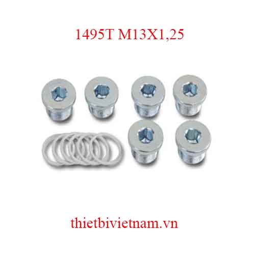 6 OIL DRAIN PLUGS+WASHERS BETA MODEL 1495T M13X1,25