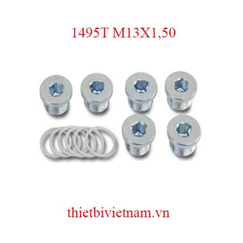 6 OIL DRAIN PLUGS+WASHERS BETA MODEL 1495T M13X1,50