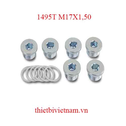 6 OIL DRAIN PLUGS+WASHERS BETA MODEL 1495T M17X1,50