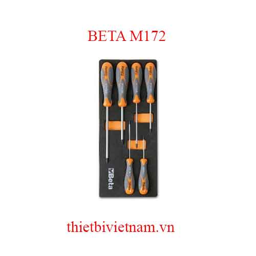 6 TOOLS IN SOFT THERMOFORMED BETA MODEL M172